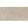 Arezzo taupe